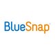 BlueSnap Embedded Payments