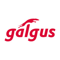 Galgus